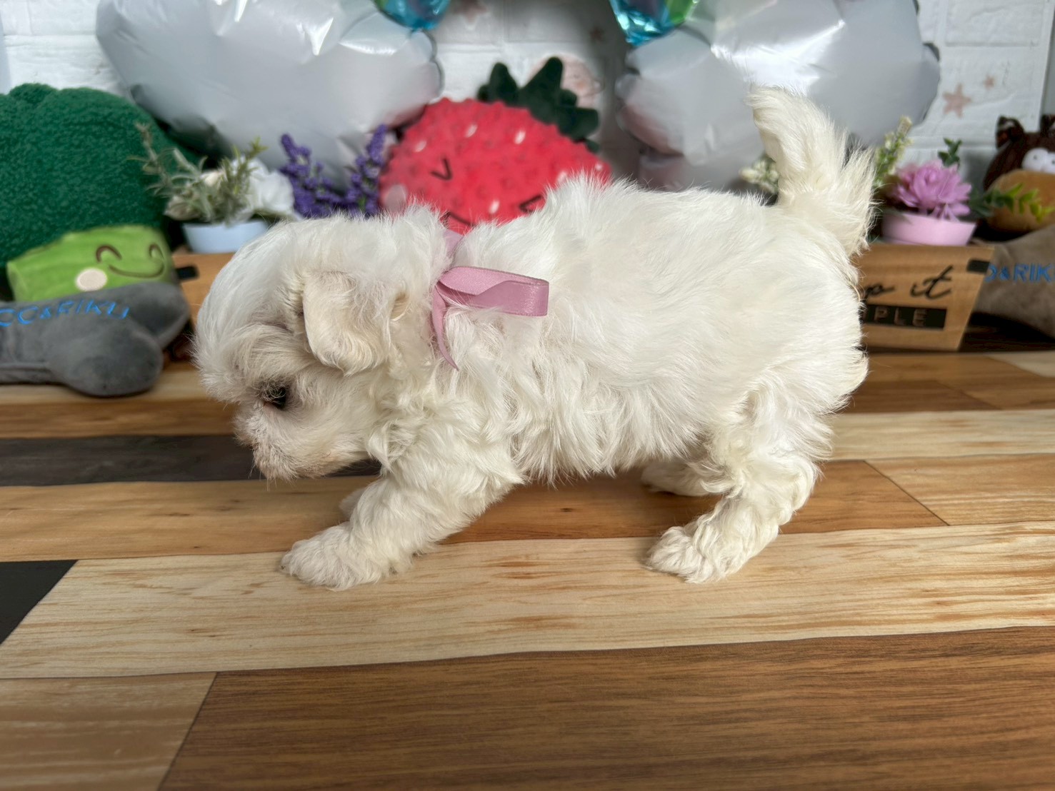 赤ちゃん写真3-2