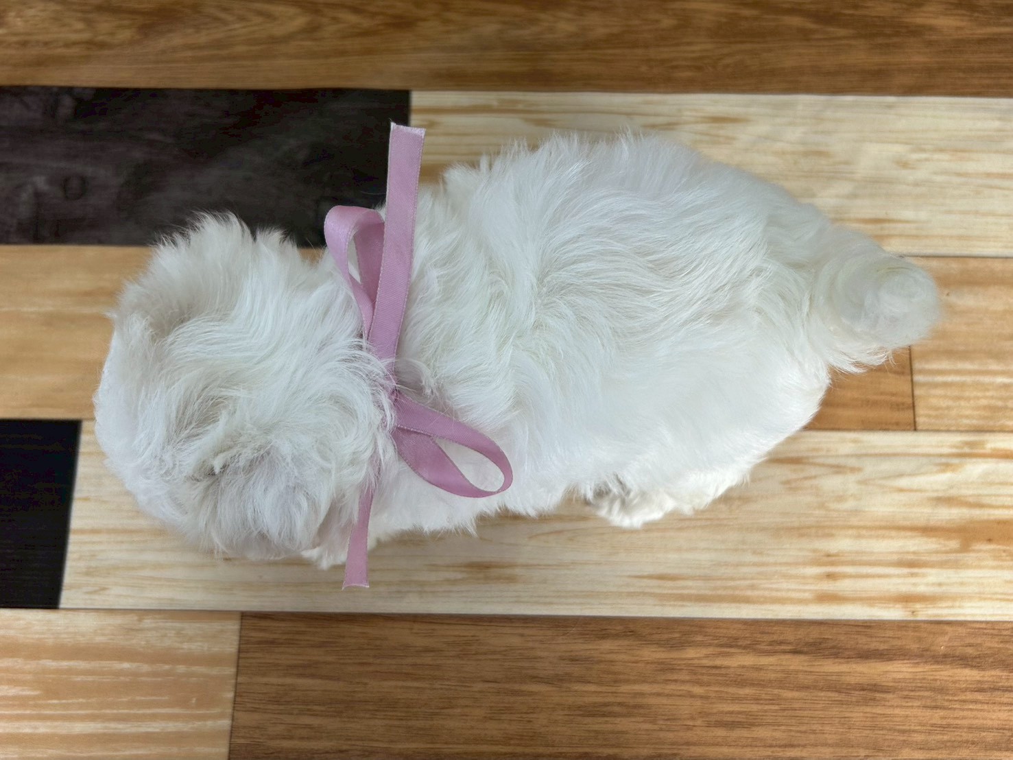 赤ちゃん写真3-3