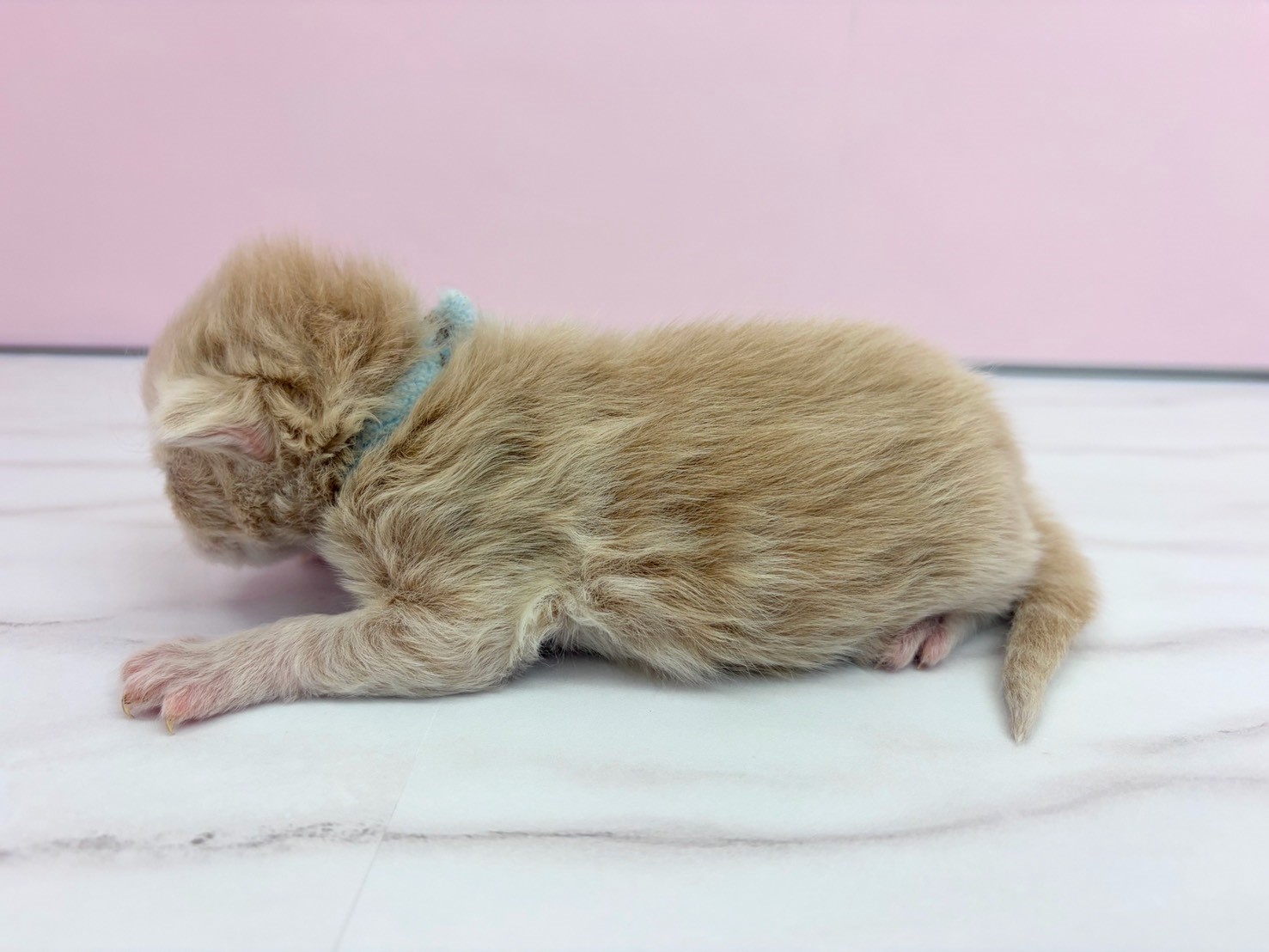 赤ちゃん写真1-2