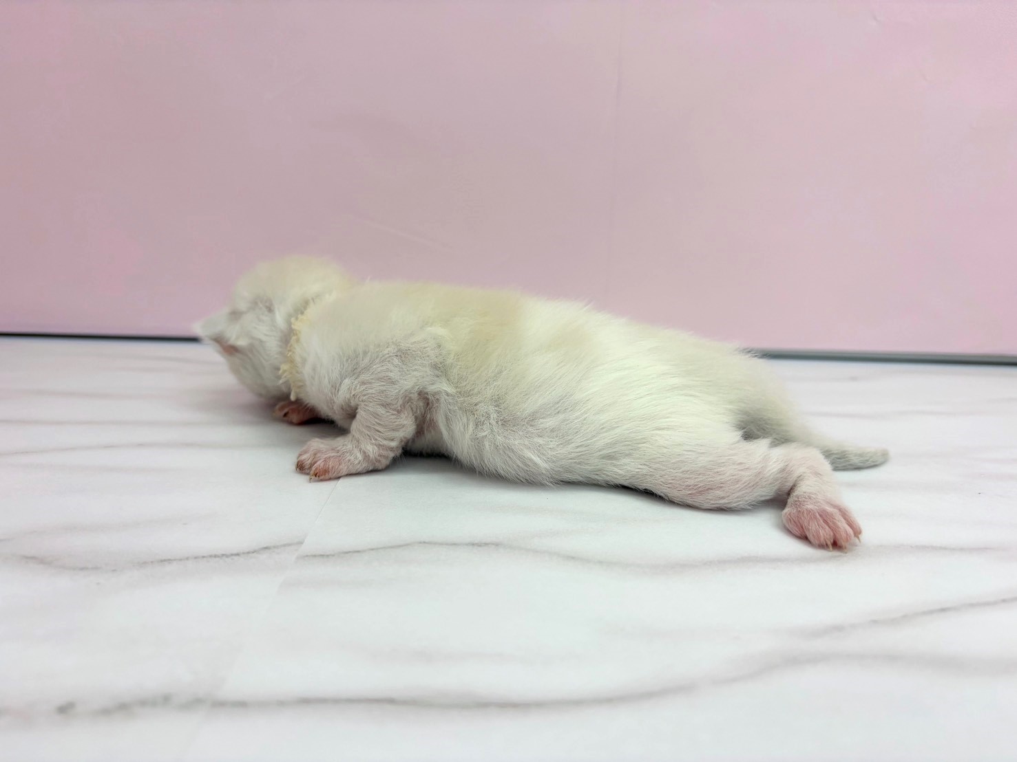 赤ちゃん写真1-2