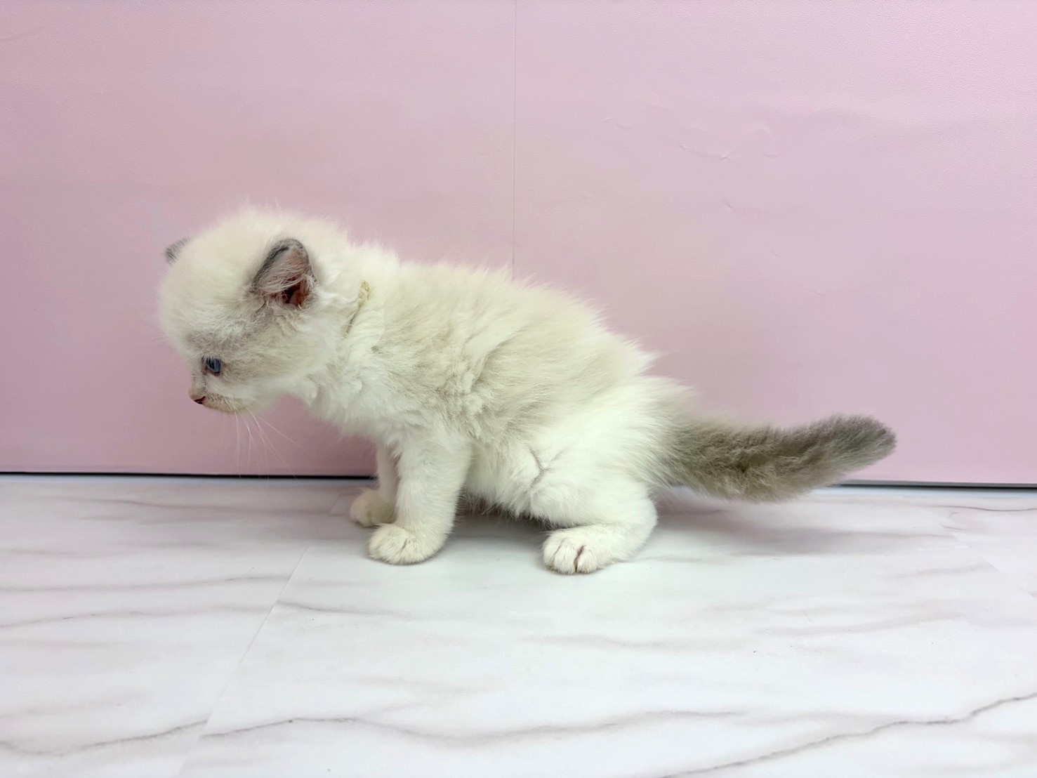 赤ちゃん写真2-2