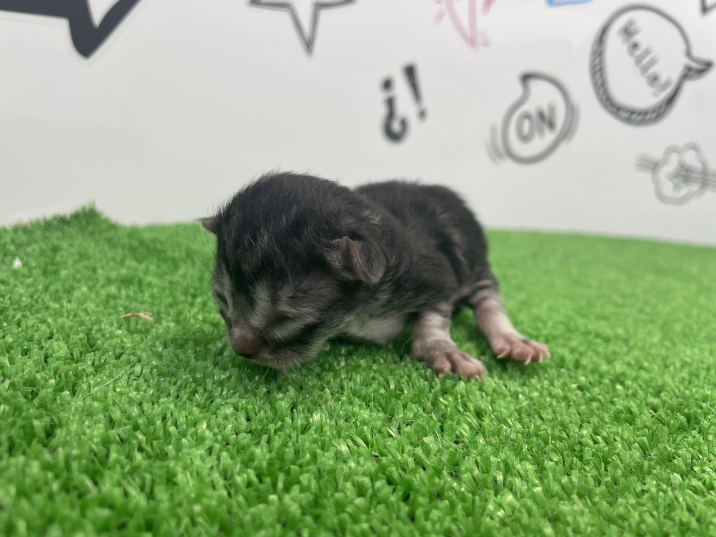 赤ちゃん写真1-1
