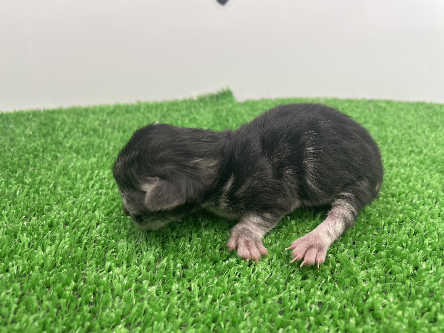 赤ちゃん写真1-2