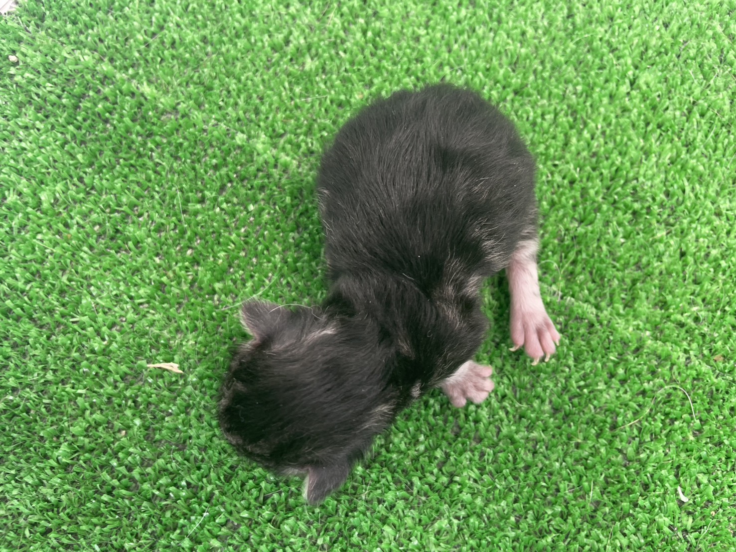 赤ちゃん写真1-3