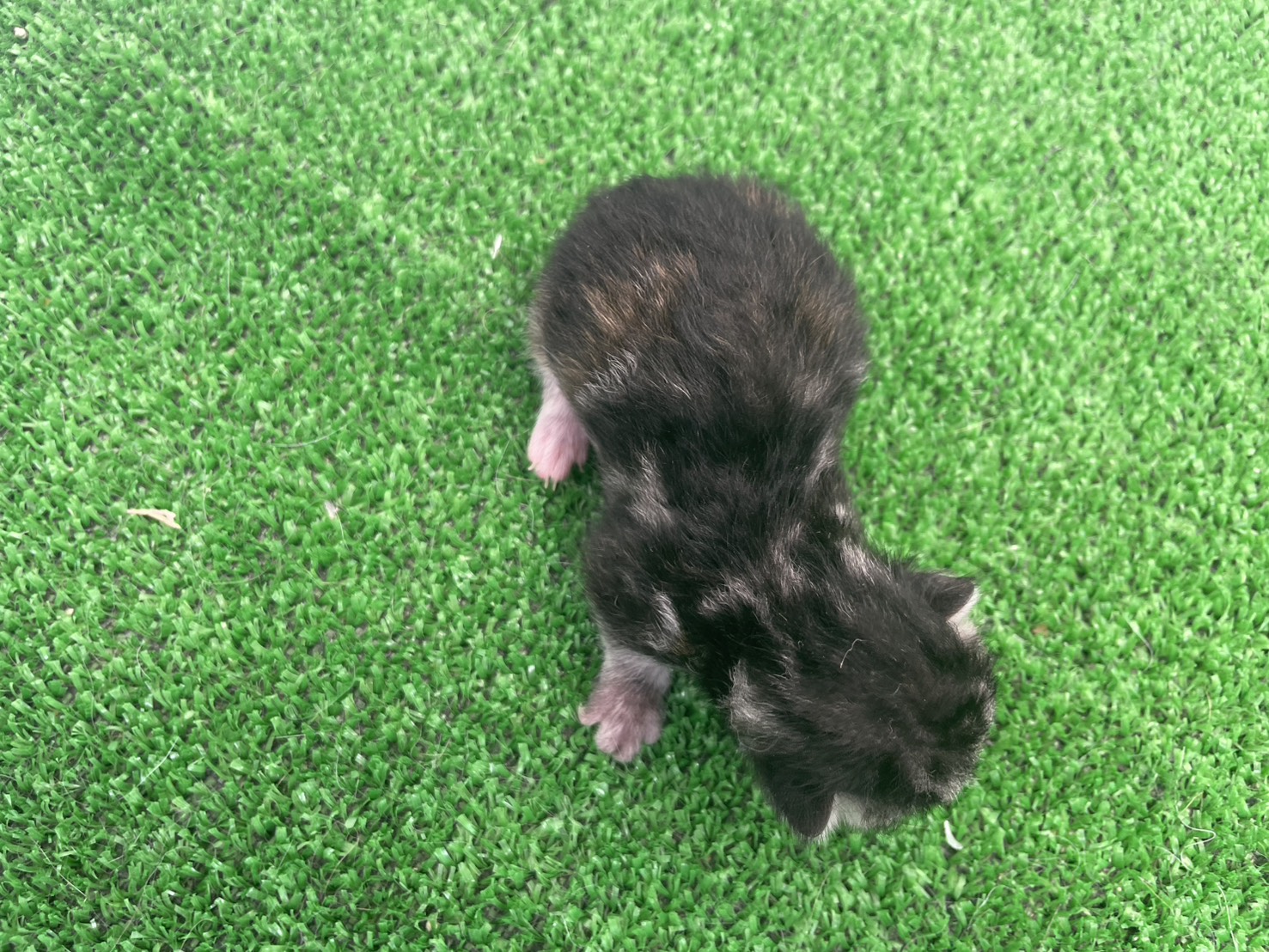赤ちゃん写真1-3