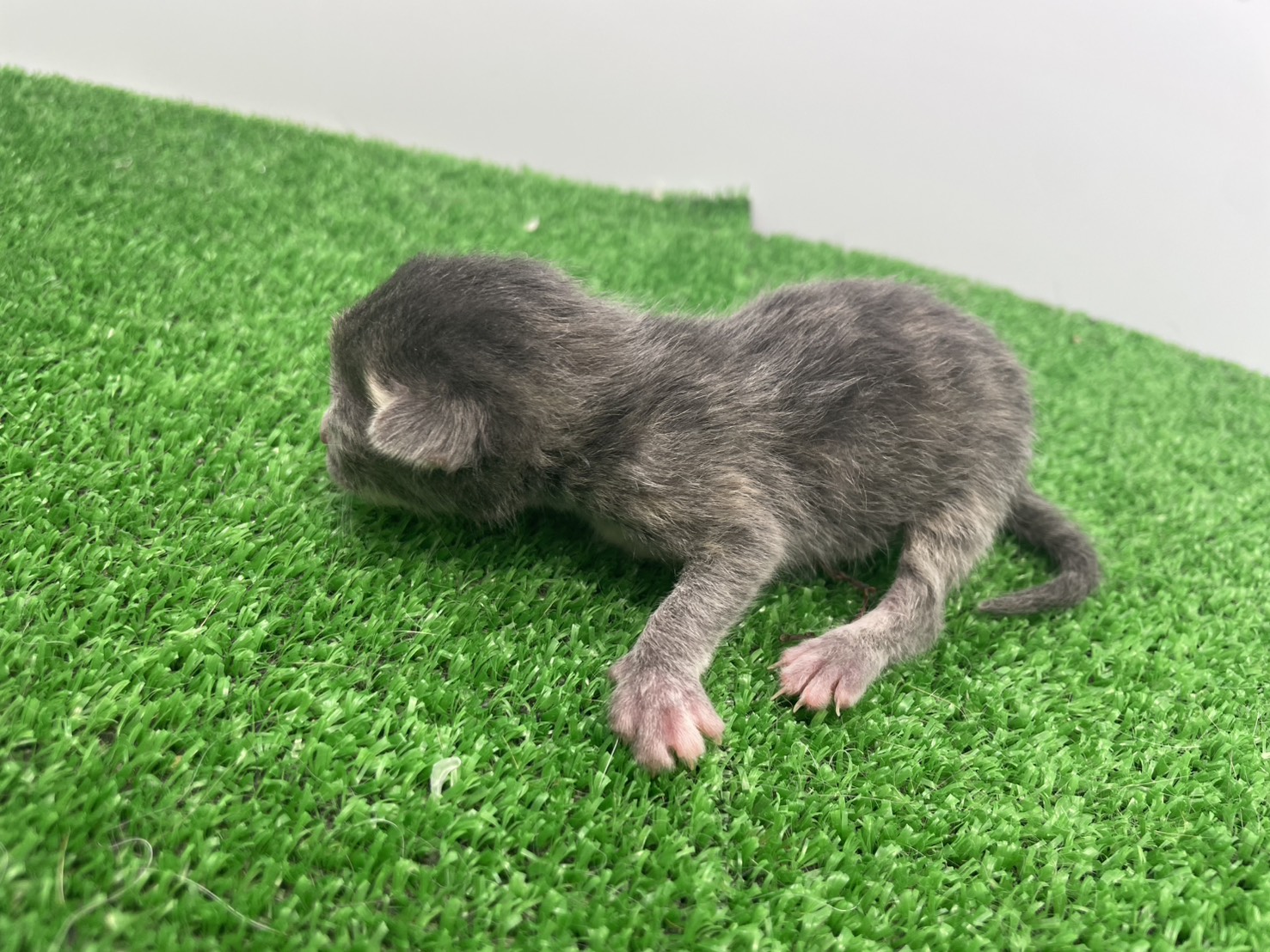 赤ちゃん写真1-2