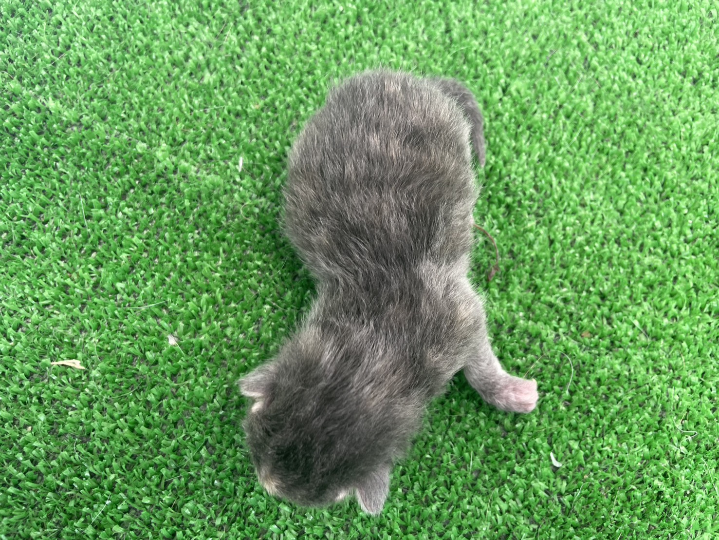 赤ちゃん写真1-3