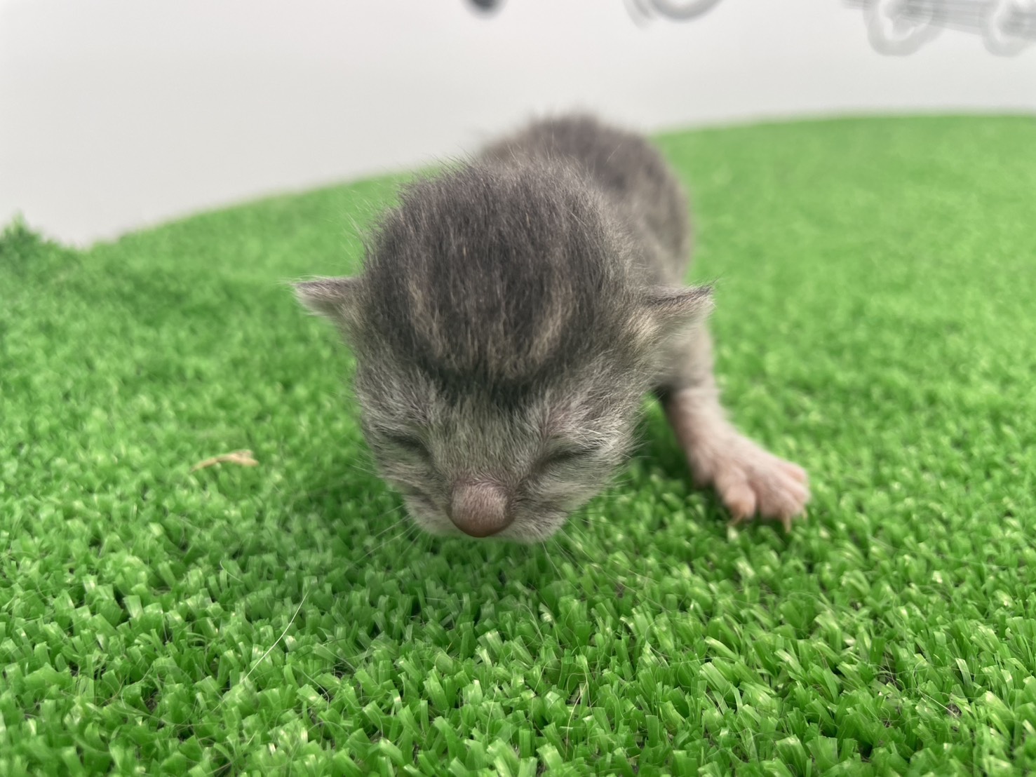 赤ちゃん写真1-1