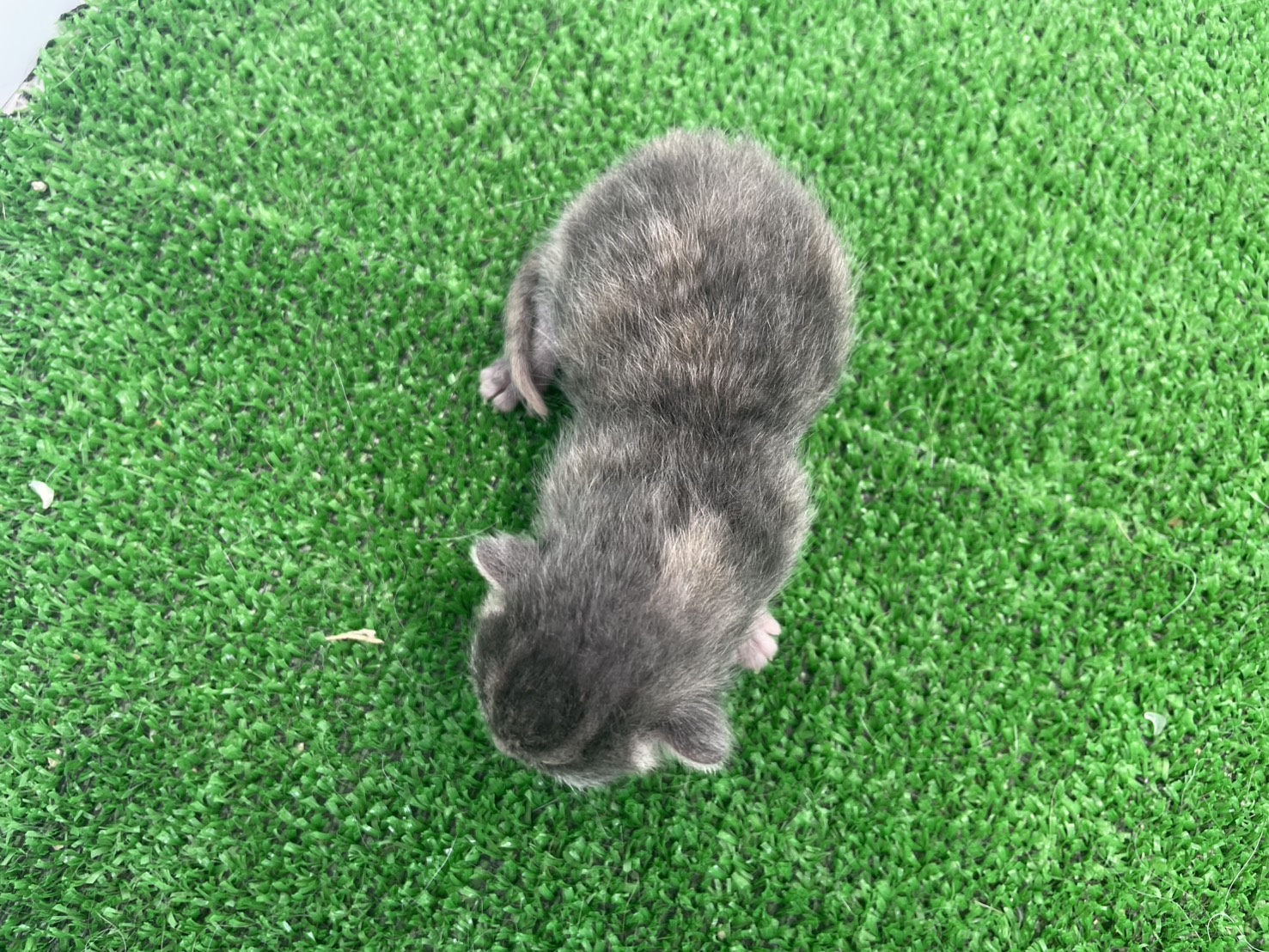赤ちゃん写真1-3