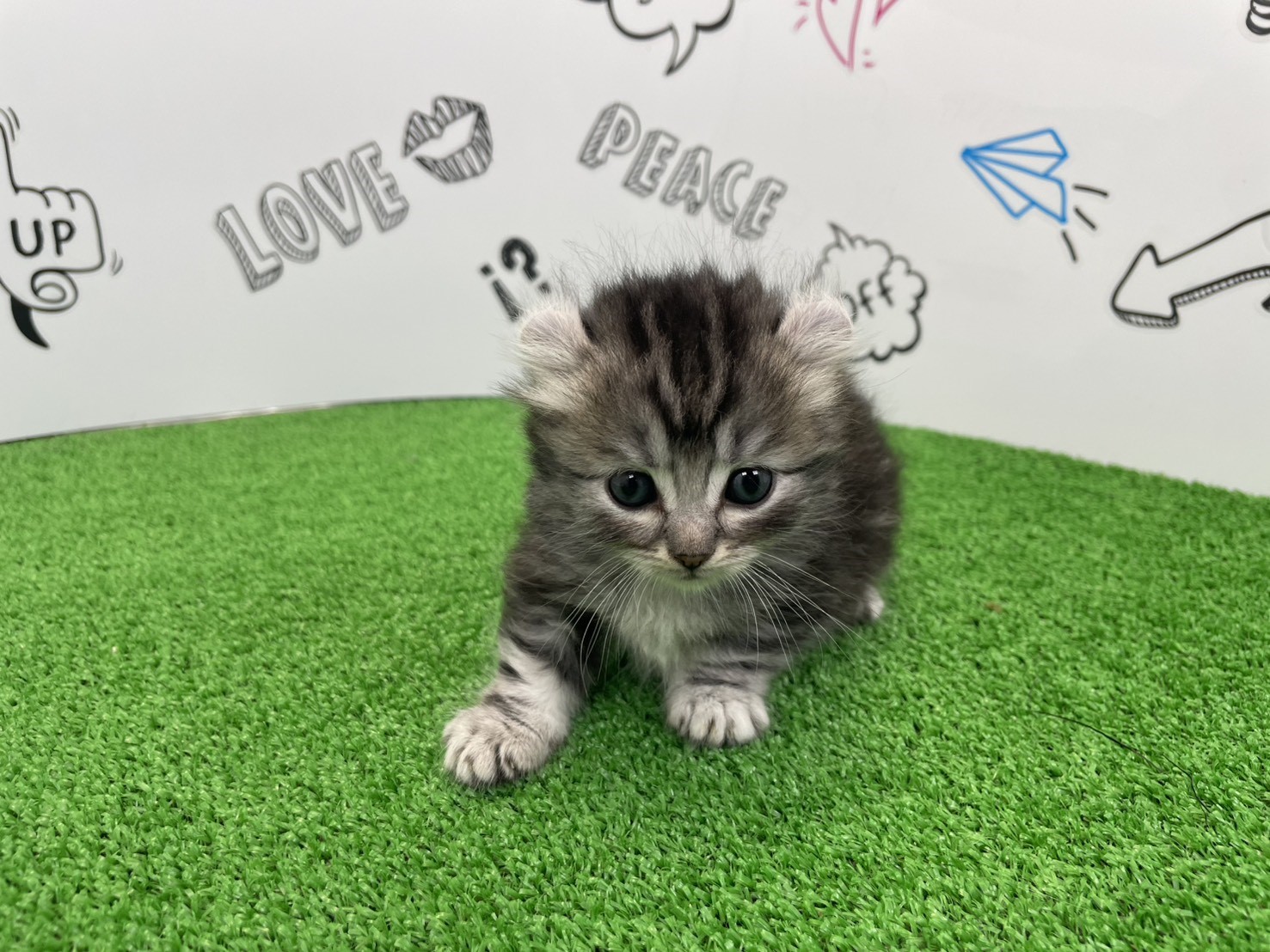赤ちゃん写真2-1