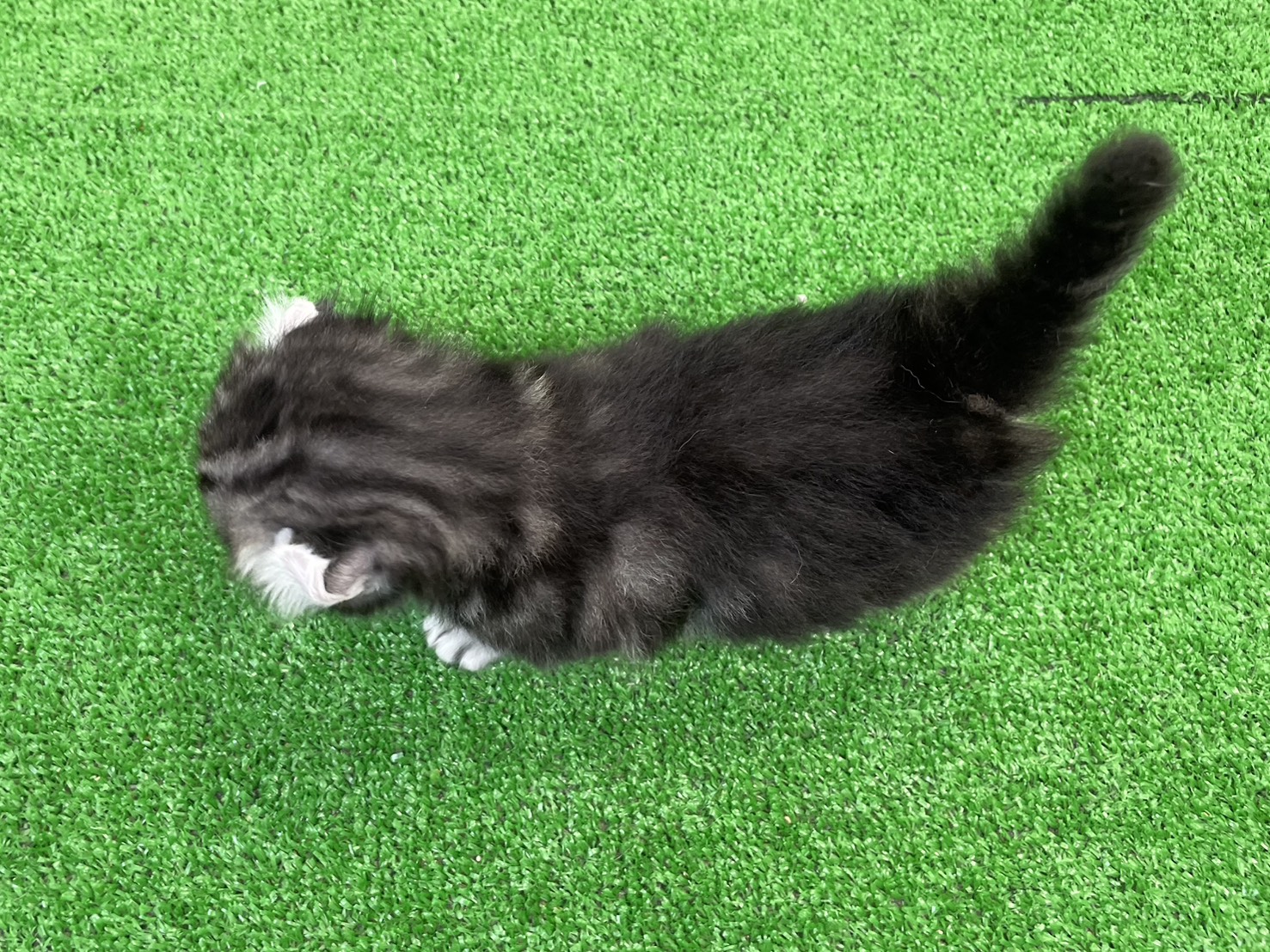 赤ちゃん写真2-3