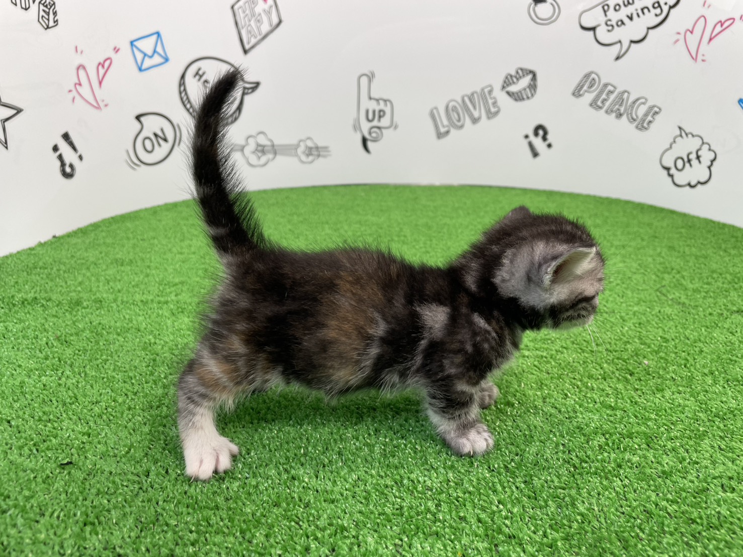 赤ちゃん写真2-2