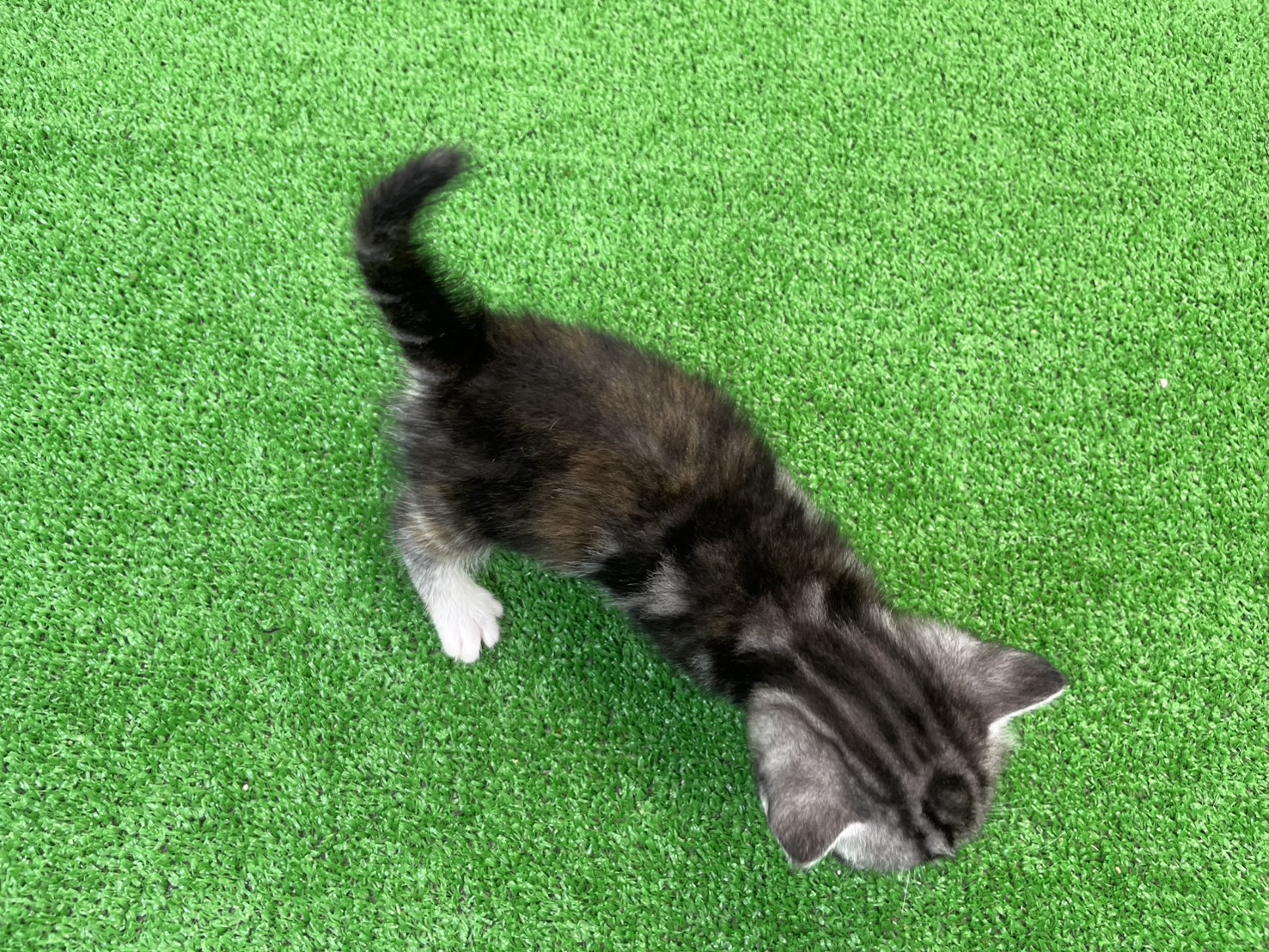 赤ちゃん写真2-3