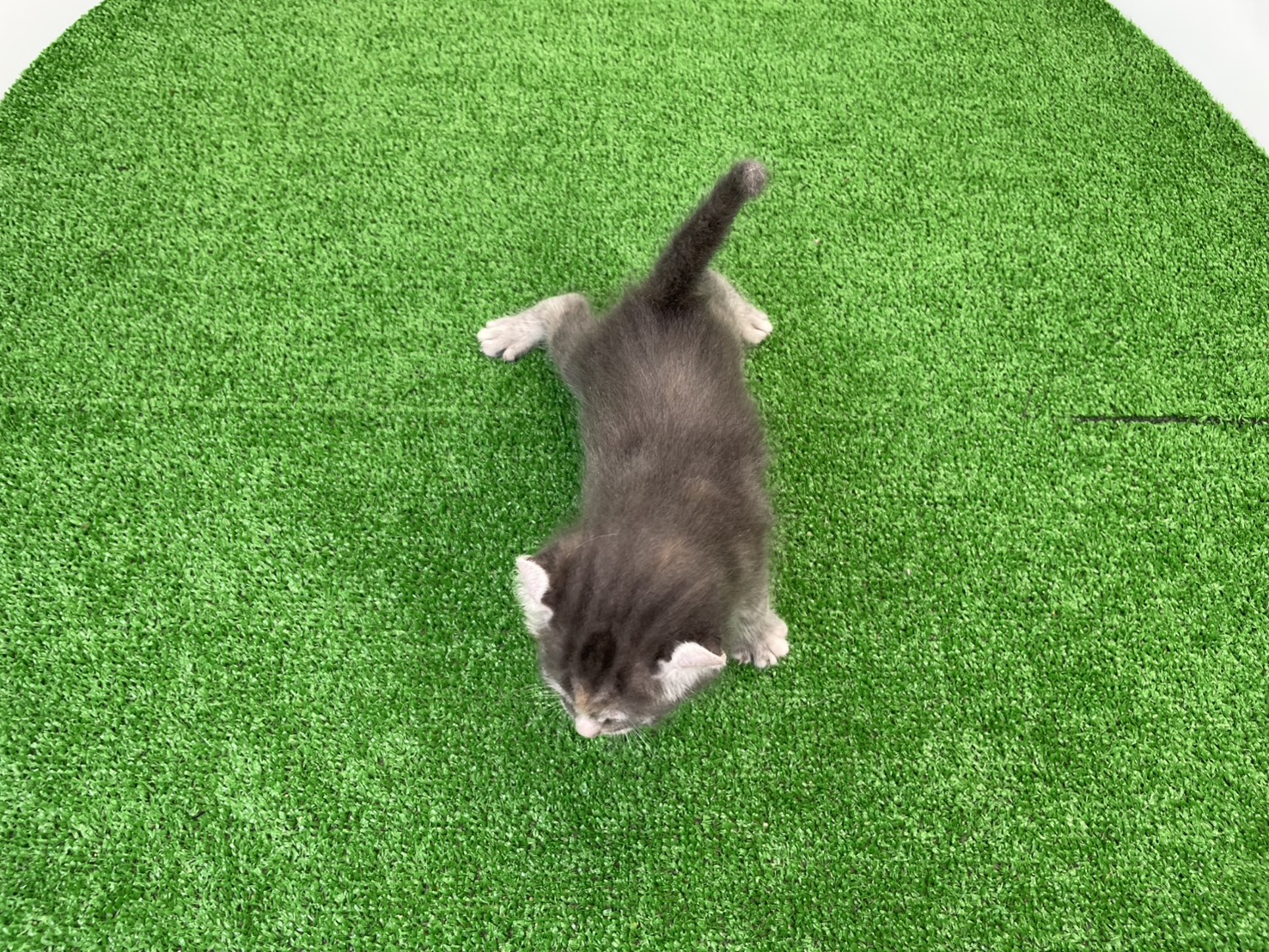赤ちゃん写真2-3