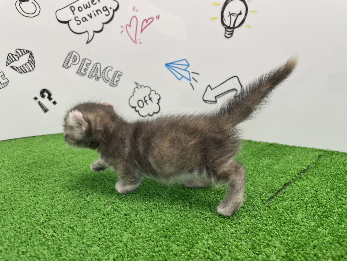 赤ちゃん写真2-2
