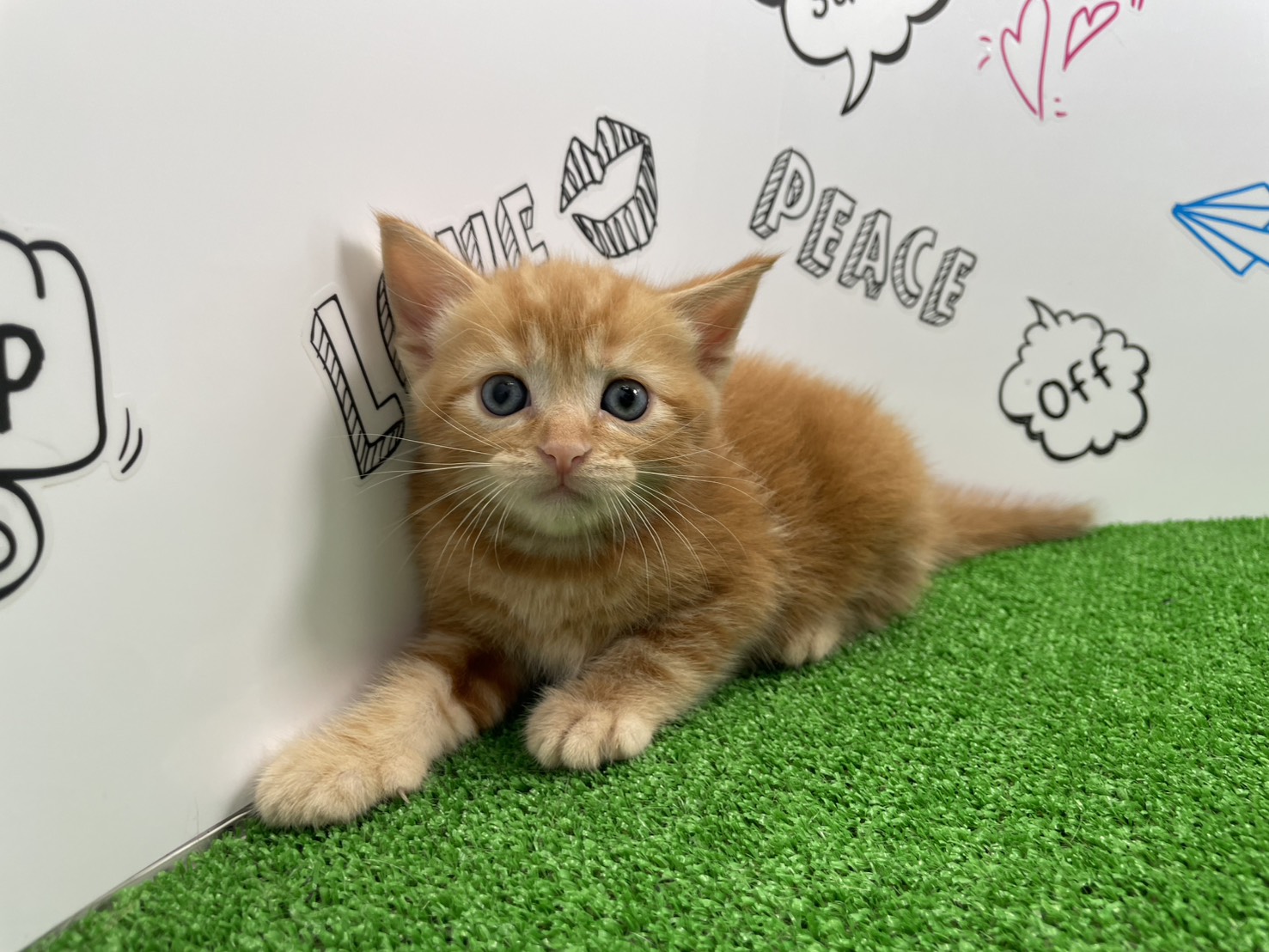 赤ちゃん写真2-1