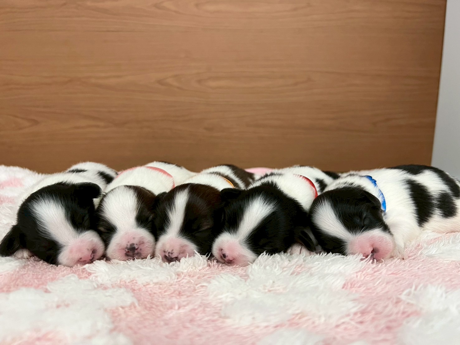 赤ちゃん写真1-3