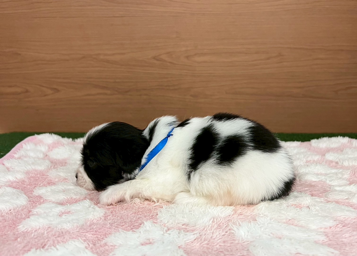赤ちゃん写真2-2