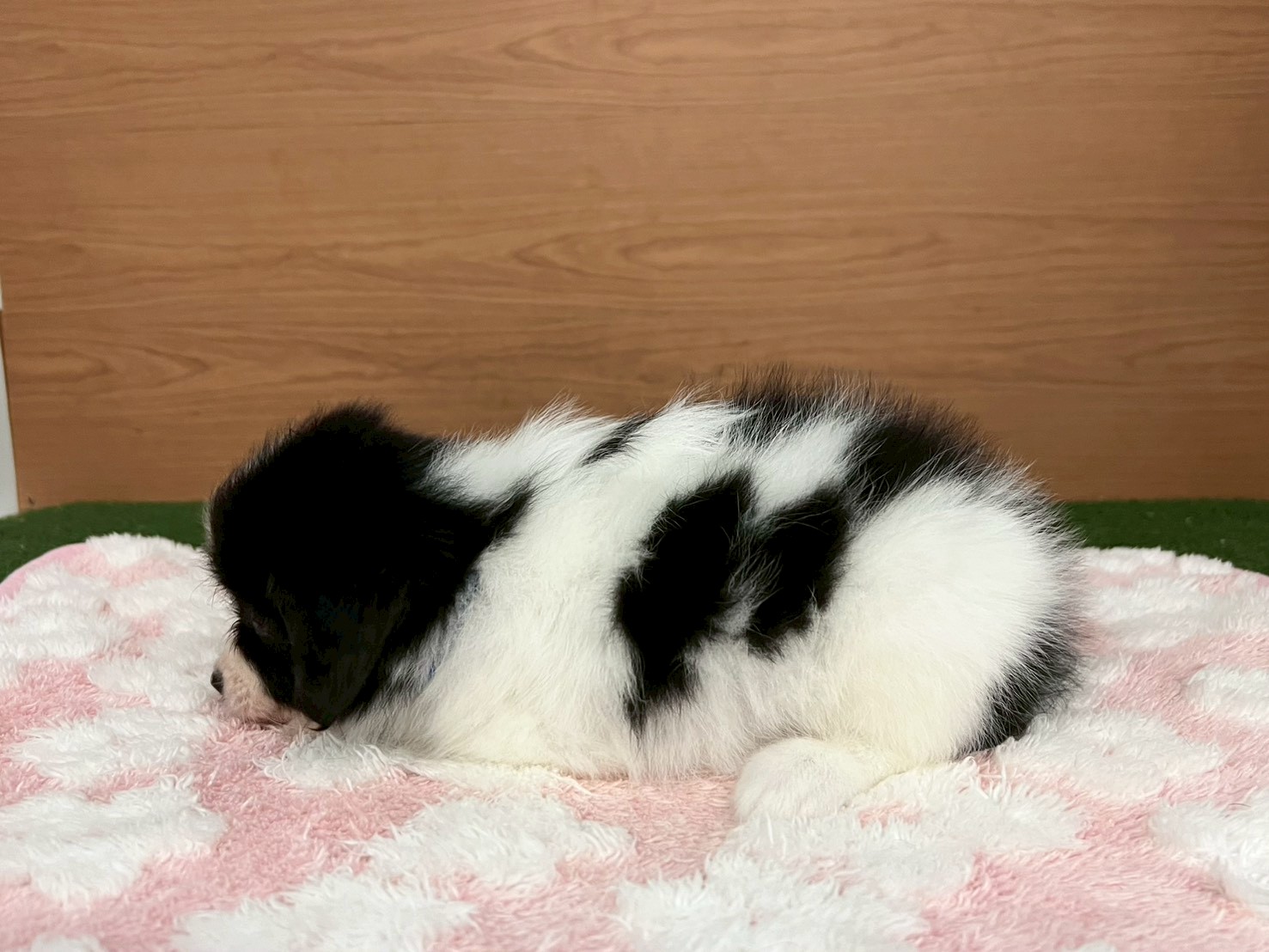 赤ちゃん写真3-2