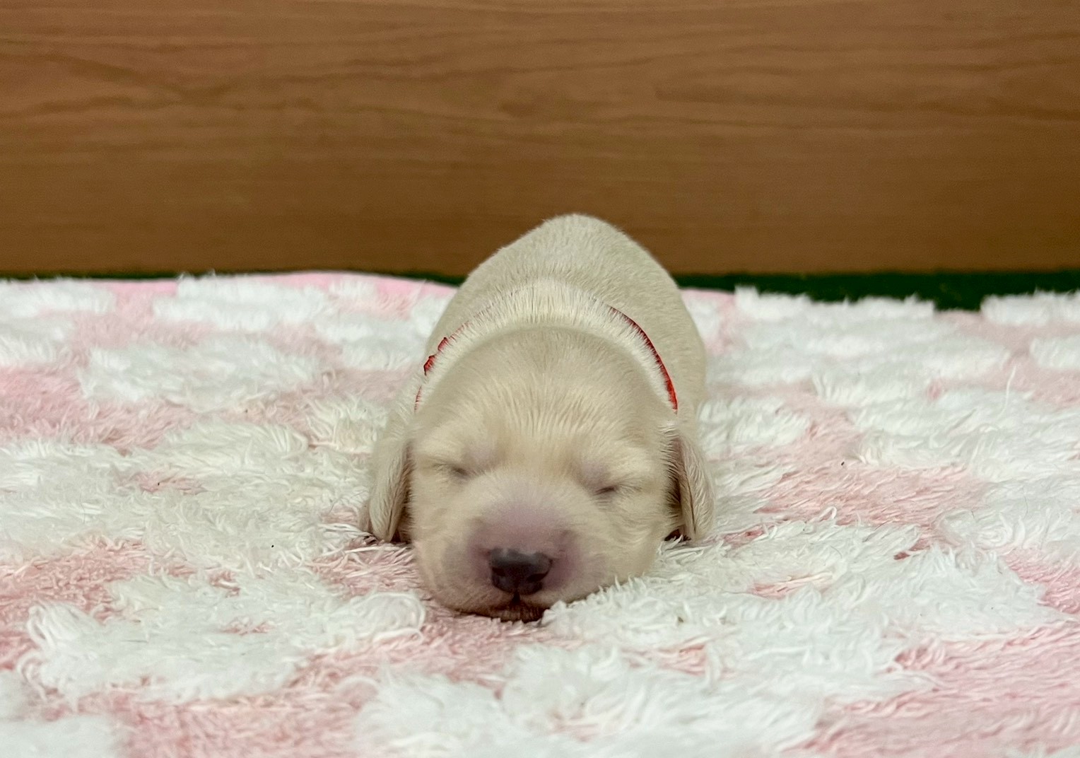 赤ちゃん写真1-1