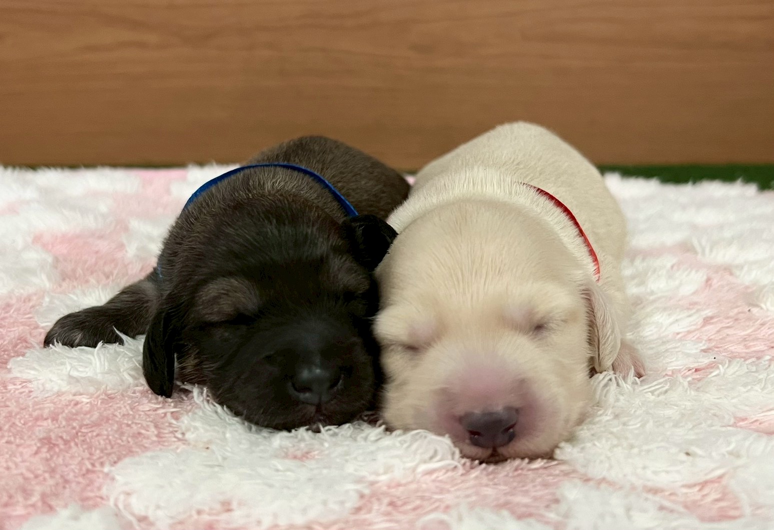 赤ちゃん写真1-3