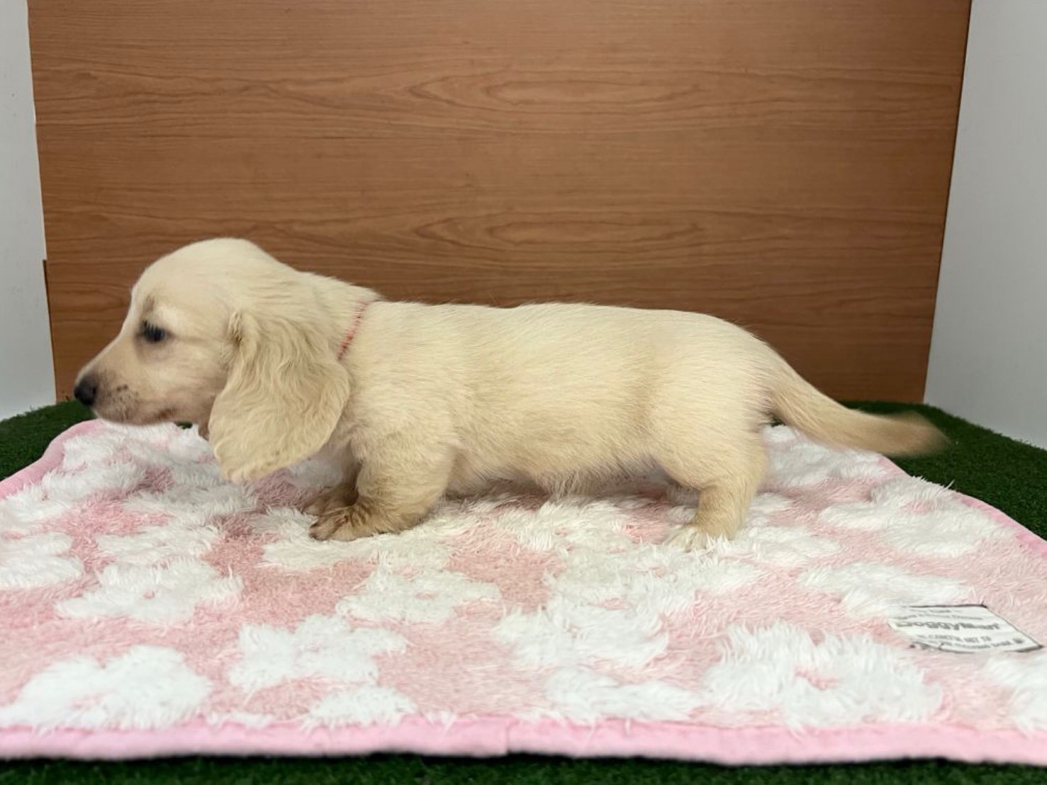 赤ちゃん写真3-2