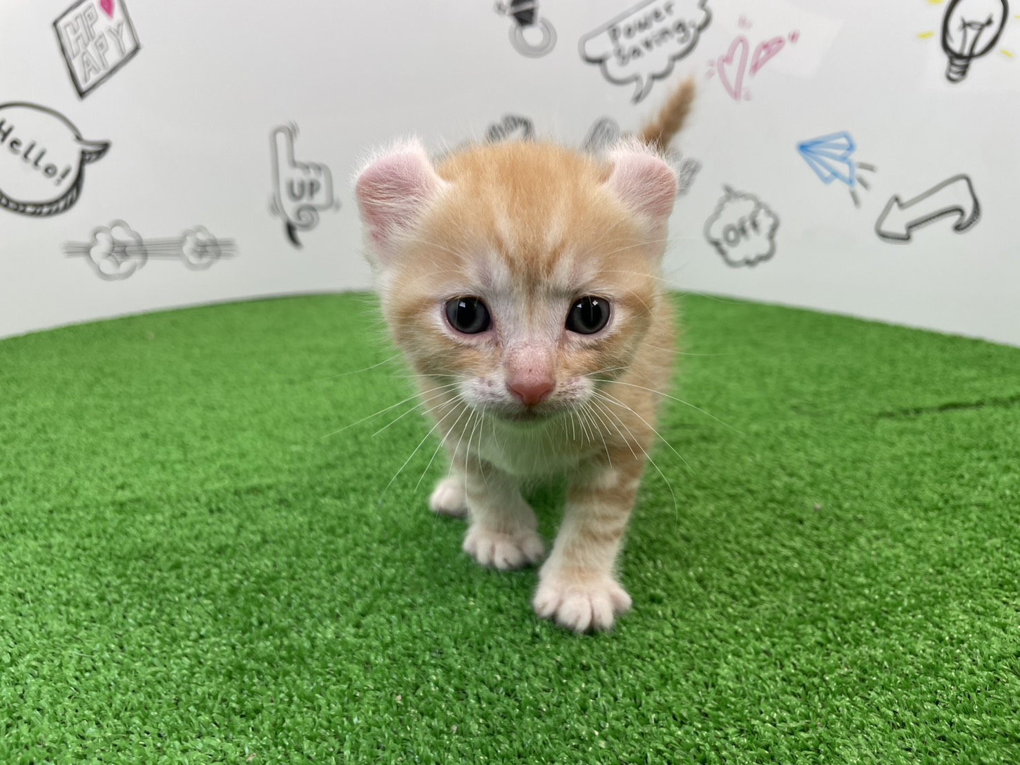赤ちゃん写真2-1
