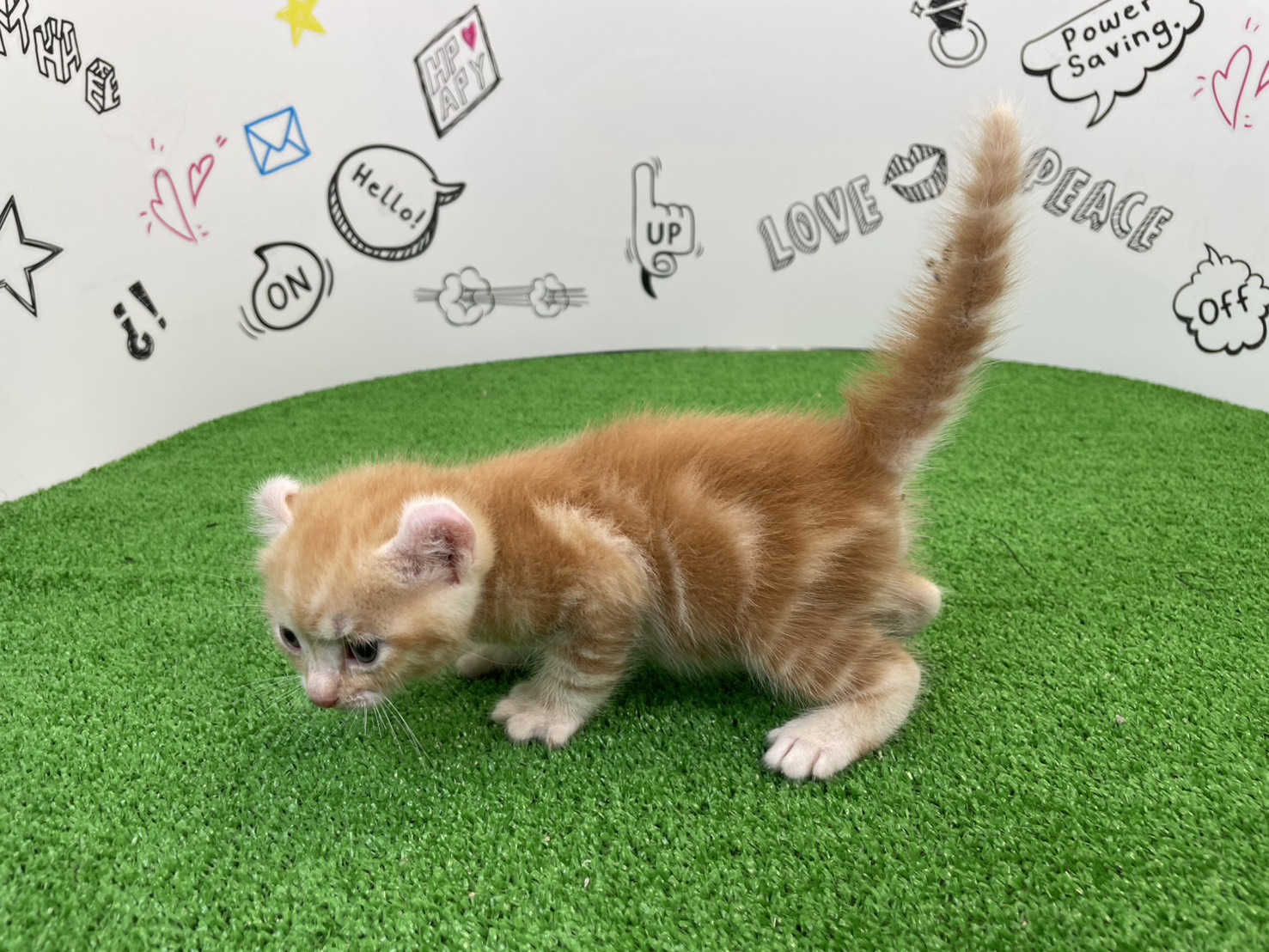 赤ちゃん写真2-2