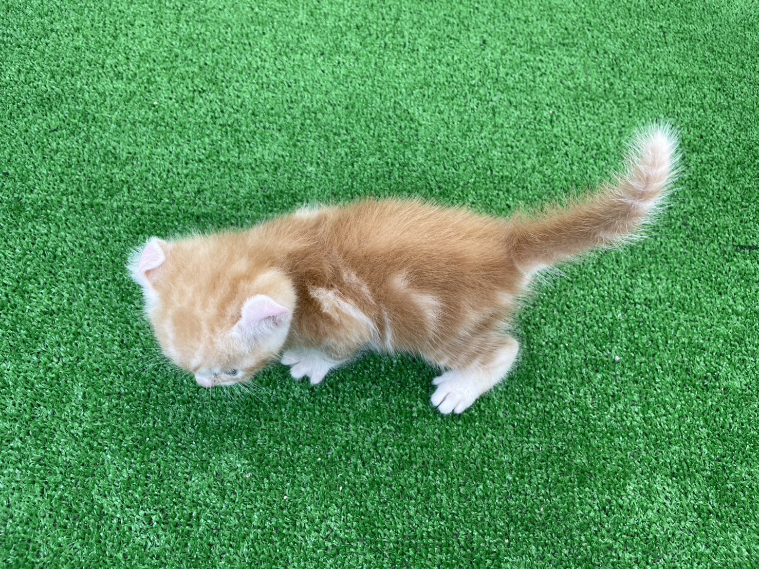 赤ちゃん写真2-3
