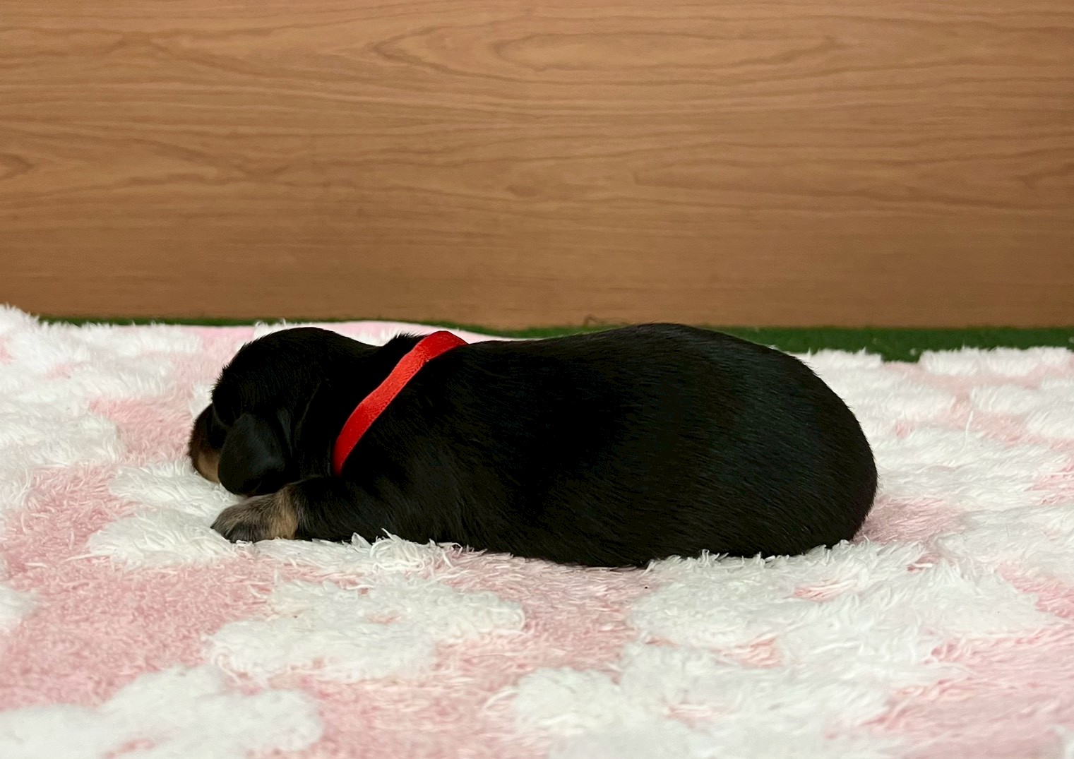 赤ちゃん写真1-2
