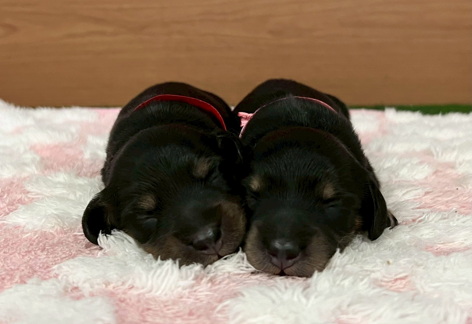 赤ちゃん写真1-3