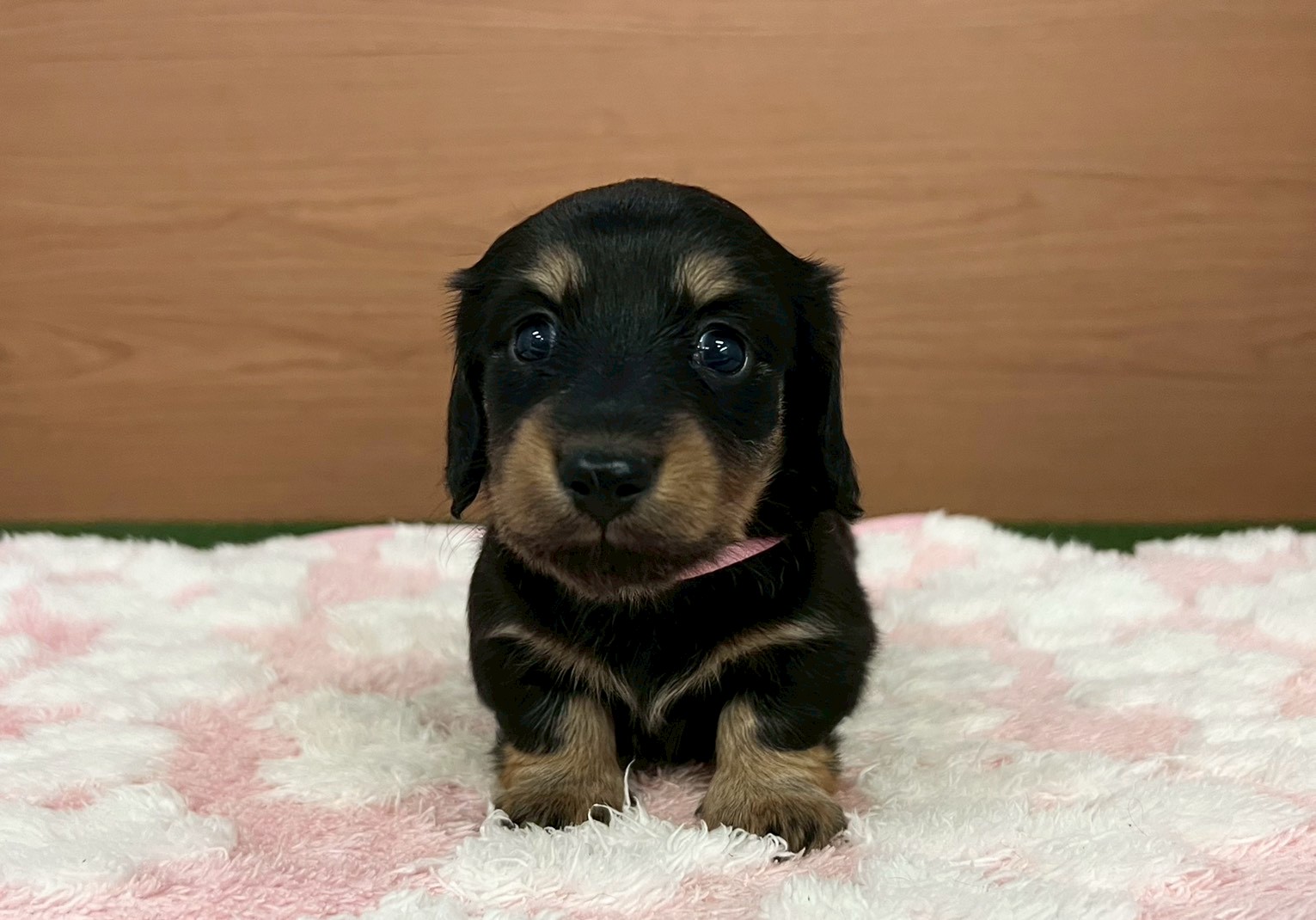 赤ちゃん写真2-1