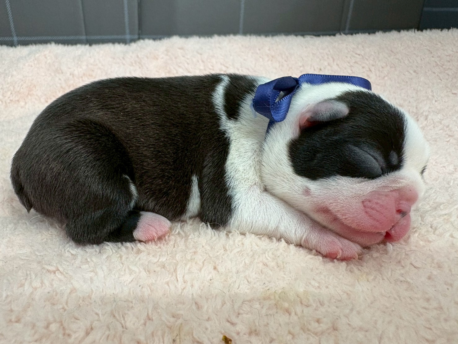 赤ちゃん写真1-2