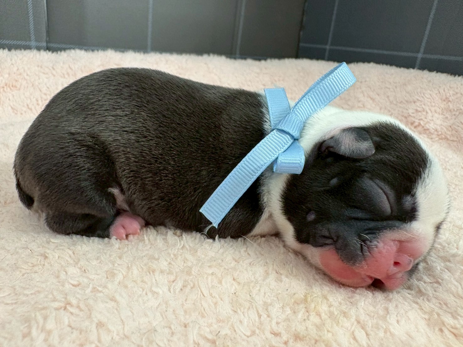 赤ちゃん写真1-2