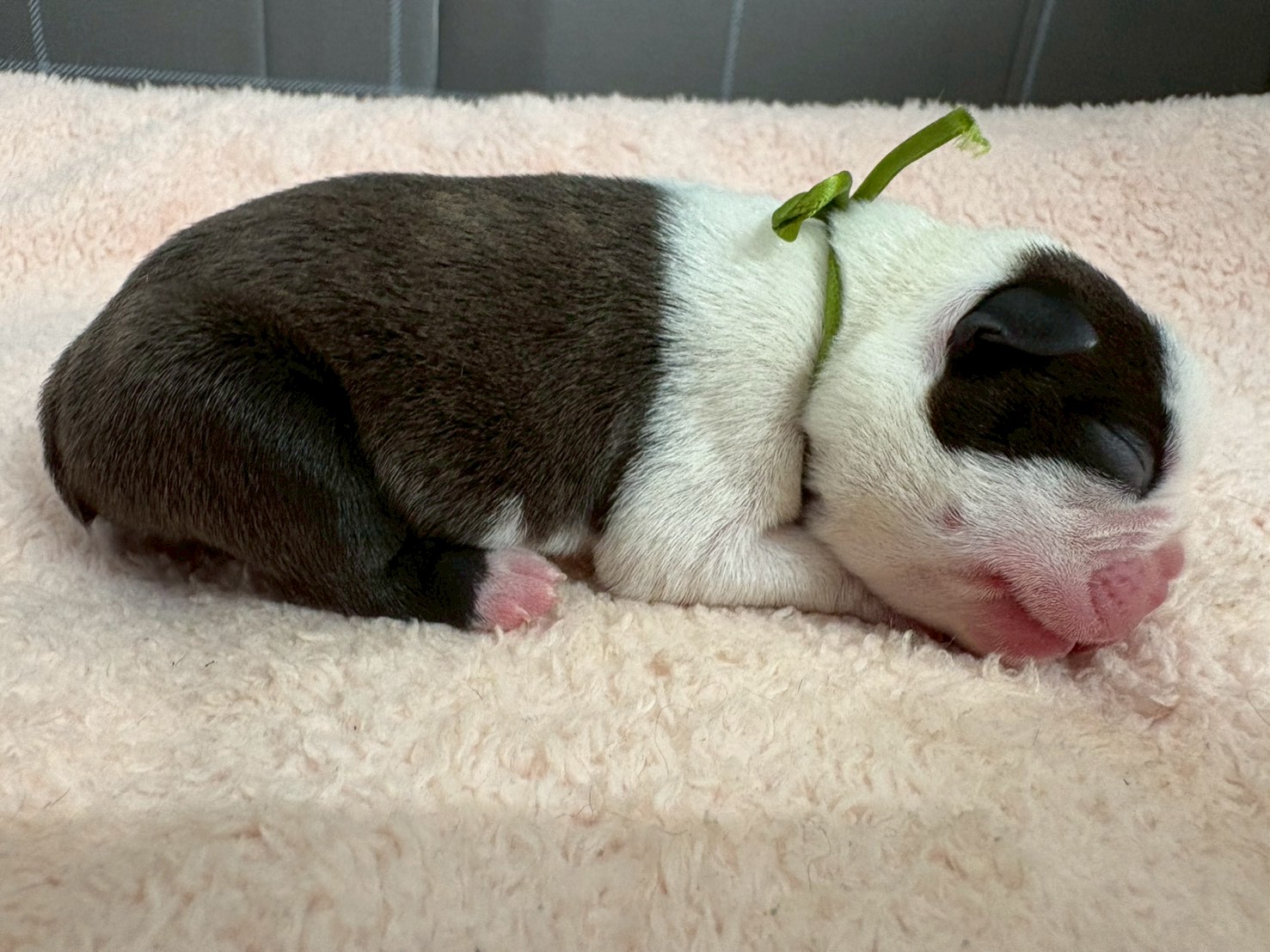 赤ちゃん写真1-2