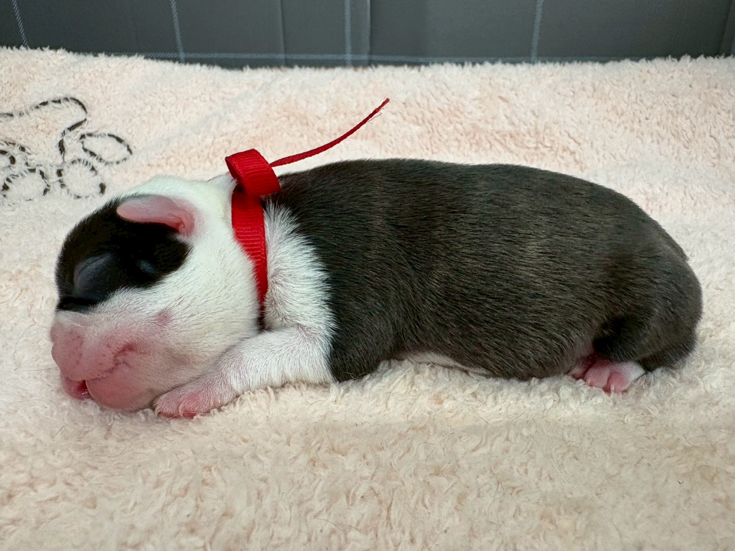 赤ちゃん写真1-2