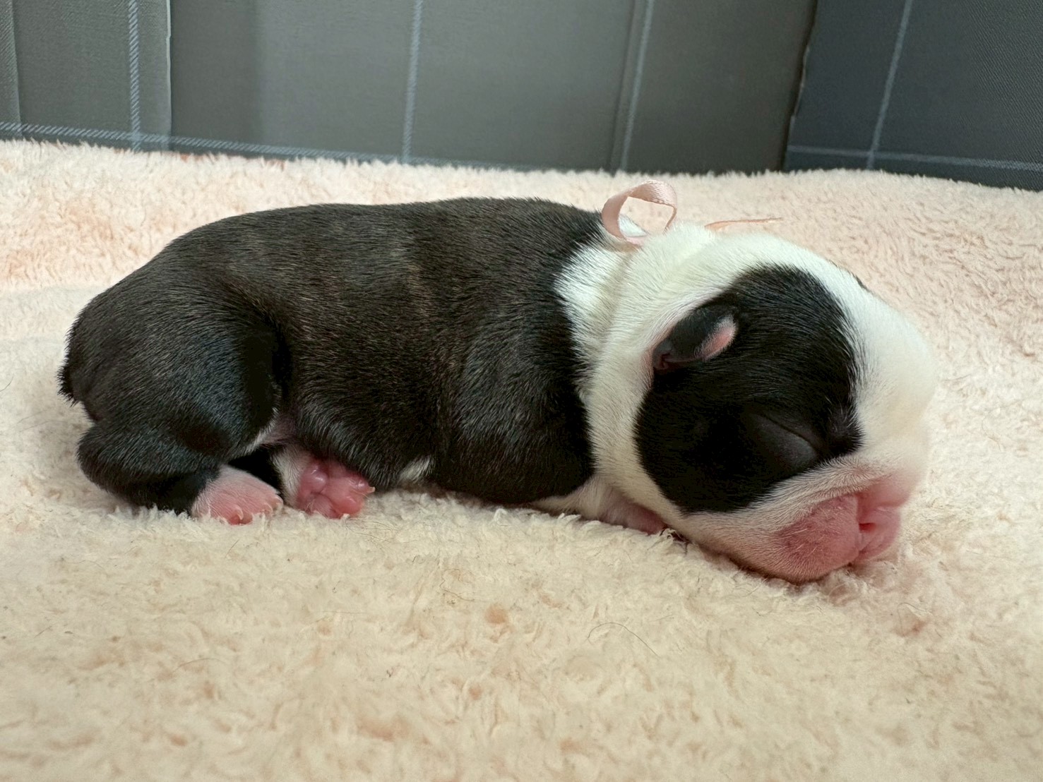 赤ちゃん写真1-2
