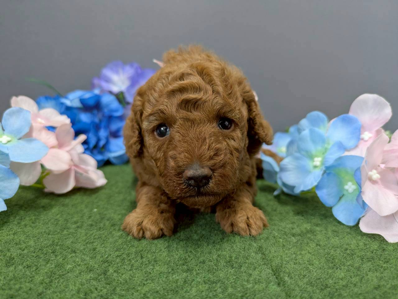 赤ちゃん写真2-1