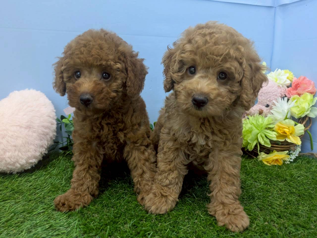 赤ちゃん写真3-3