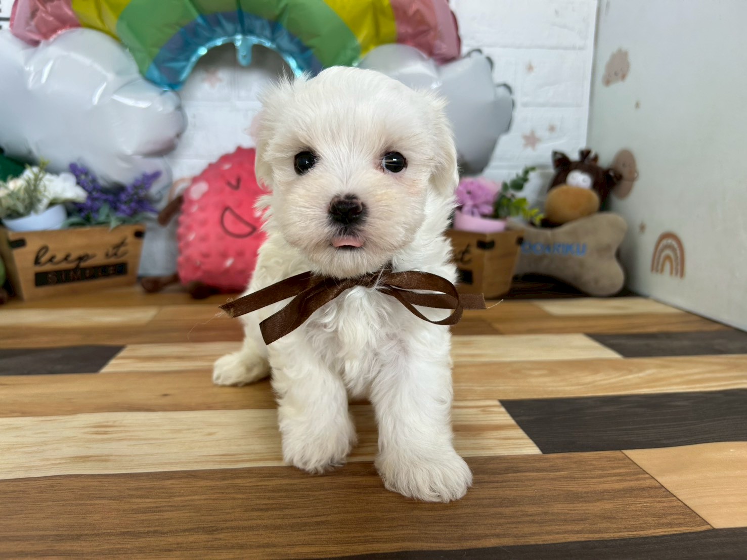赤ちゃん写真3-1