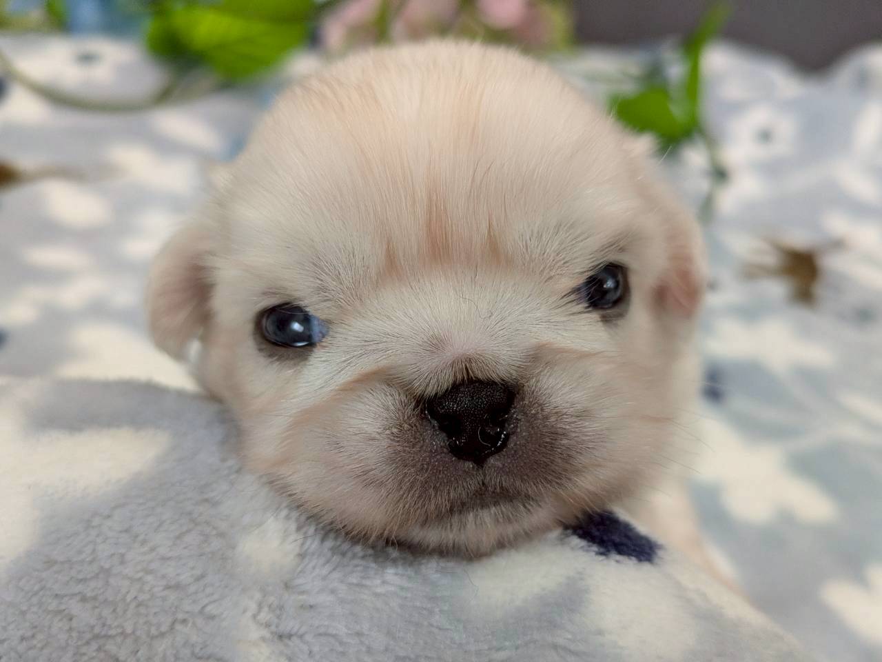 赤ちゃん写真2-1