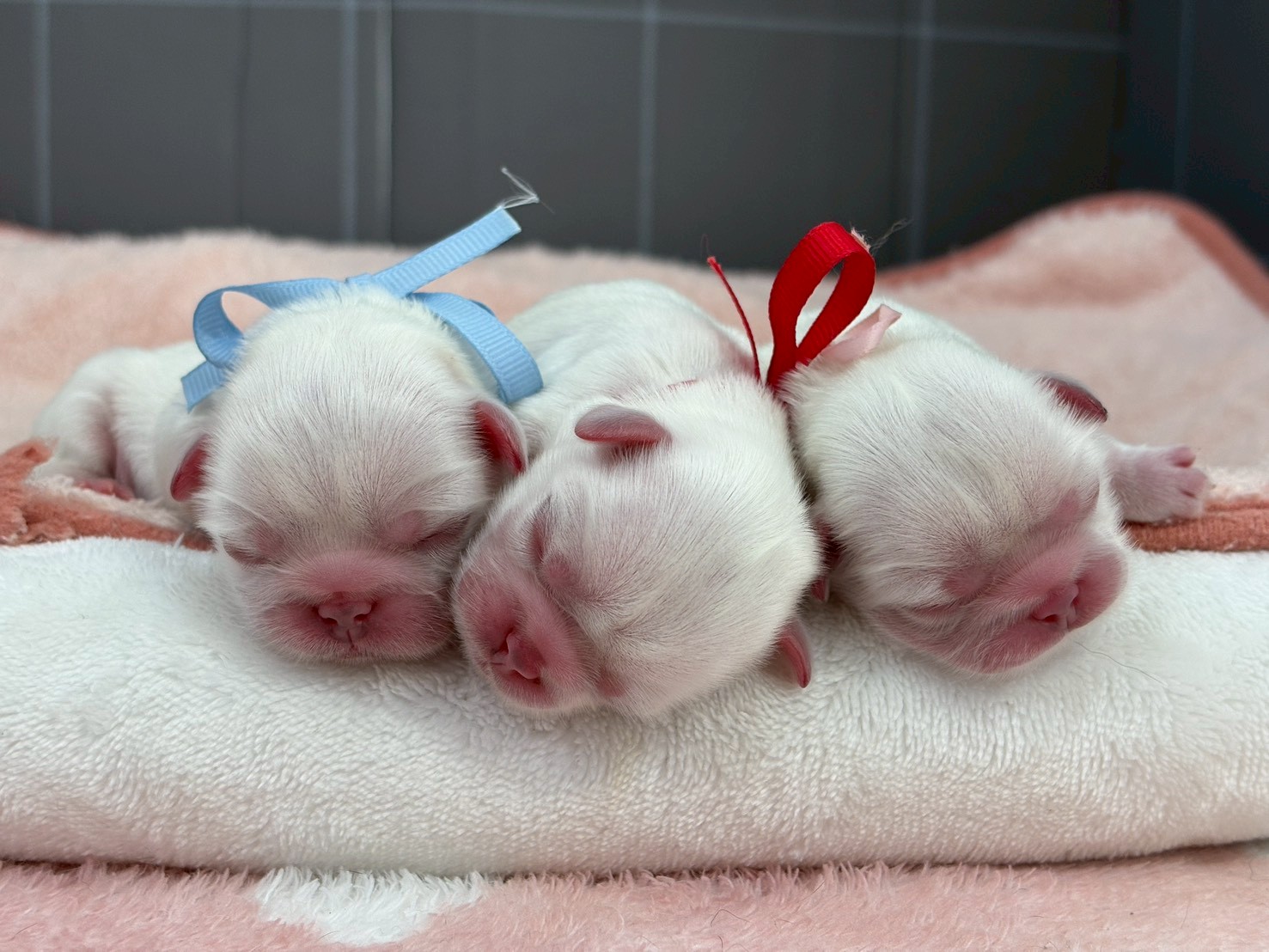 赤ちゃん写真1-3