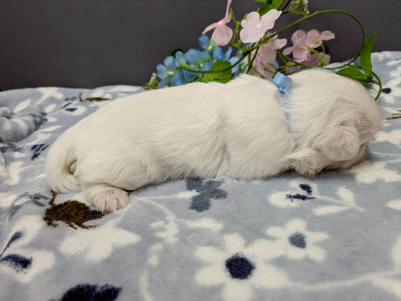赤ちゃん写真2-2