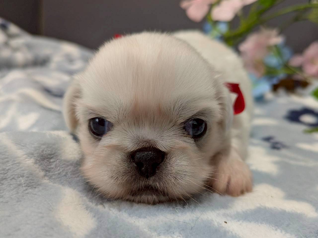 赤ちゃん写真2-1