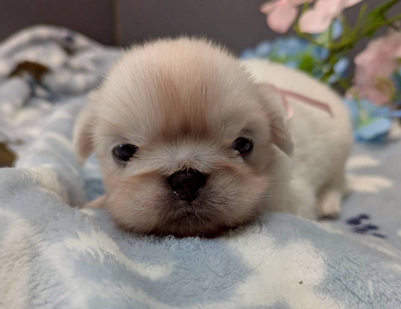 赤ちゃん写真2-1