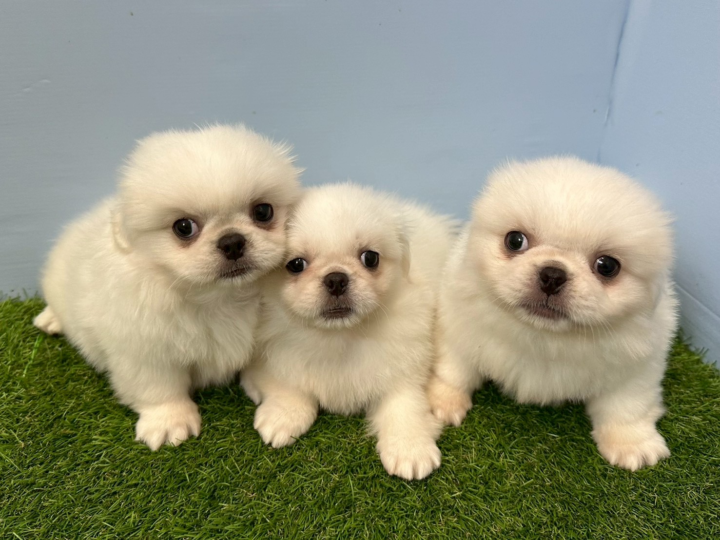 赤ちゃん写真3-3