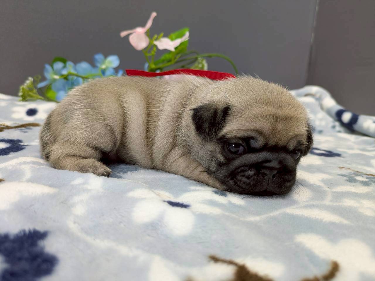 赤ちゃん写真2-2