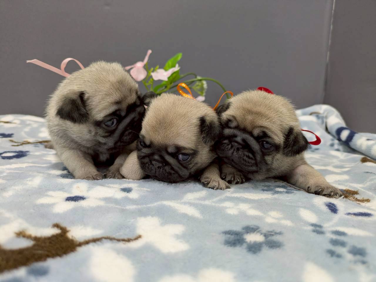 赤ちゃん写真2-3