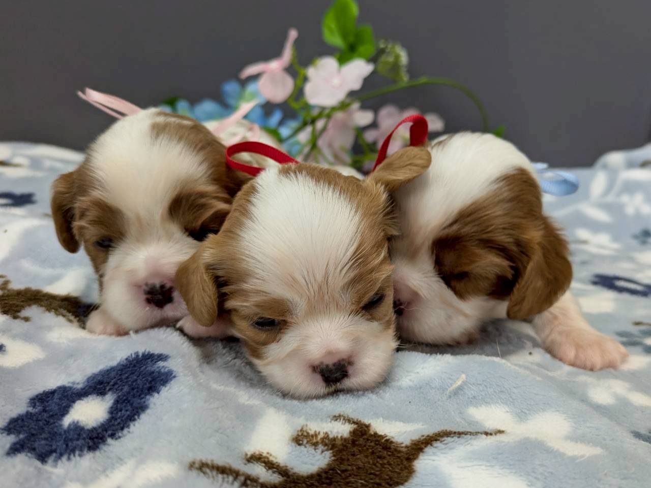 赤ちゃん写真2-3