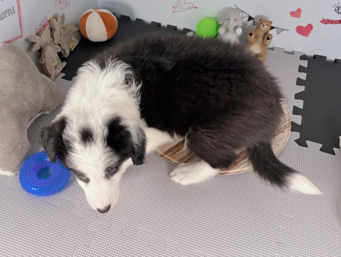 赤ちゃん写真3-3